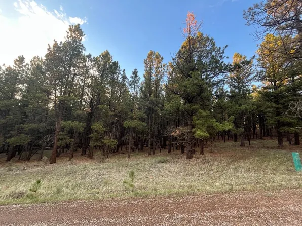 20 Valley Rd, Angel Fire, NM 87710-0000