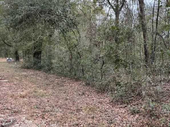 NW Evergreen Oak Pl, Jennings, FL 32053