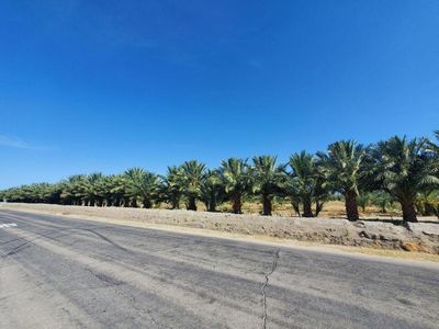 0 Calhoun St, Coachella, CA, 92236