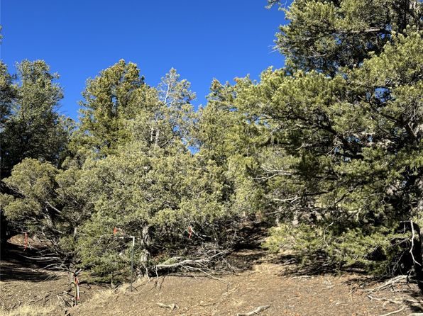 Talavera Ln UNIT 4, Tierra Amarilla, NM 87575