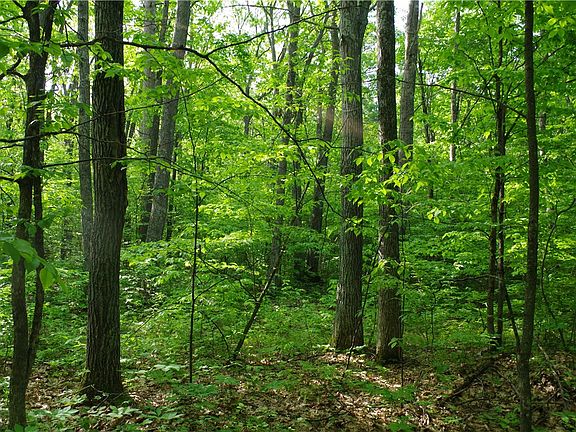 5th image of 0 County Rd E