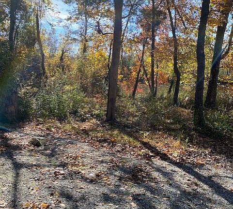 3rd image of 26488 Daniels Point Dr