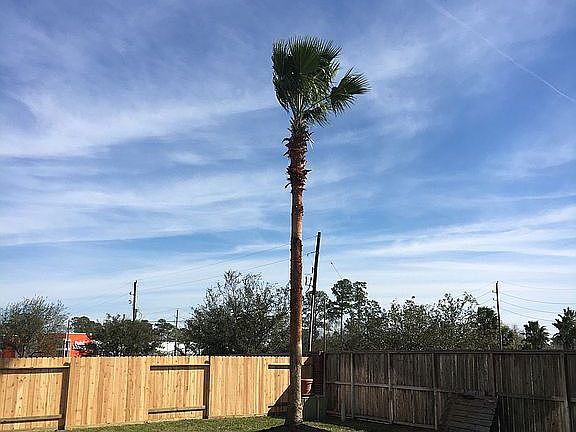 5th image of 13511 Cypress Heath Ct