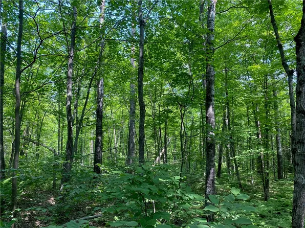 0 State Hwy 53, Solon Springs, WI 54873
