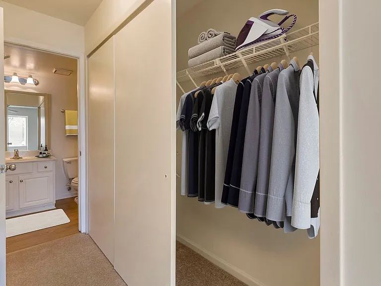 Renovated Woods I closet and bathroom
