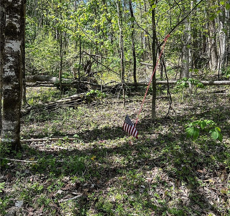 1st image of Lot# 34 Buckeye Creek Road