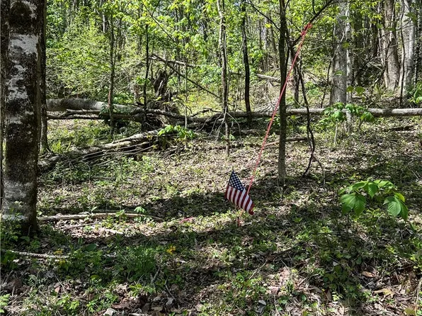 Lot# 34 Buckeye Creek Road, Beech Mountain, NC 28622