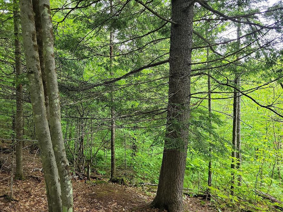 2nd image of Lot 36 Map Richardson Hollow Road