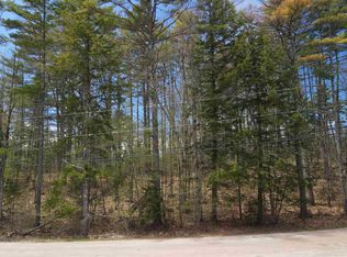 Village District of Eidelweiss, Madison, NH 03849
