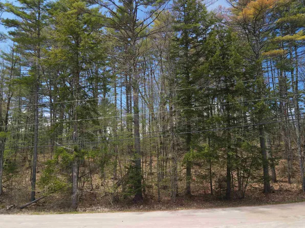 12 Eidelweiss Drive, Madison, NH 03849