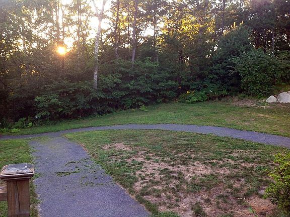 Portion of back yard