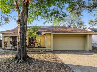 4121 Yellowwood Dr, Valrico, FL 33594