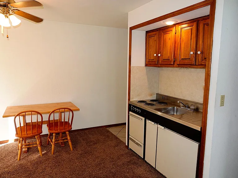 338 S Sooner Trl — Photo 6