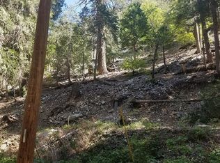 9425 Lilac Dr, Forest Falls, CA 92339