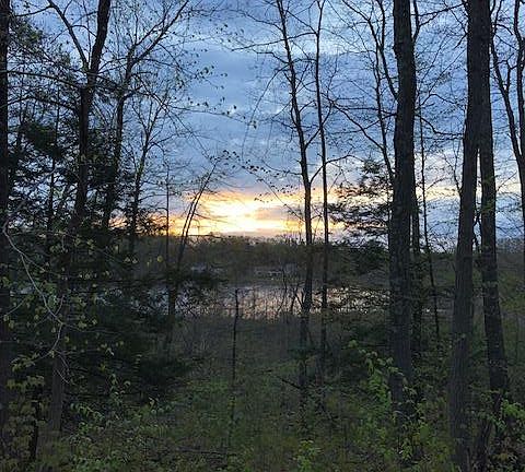 5th image of Lily Lake Road