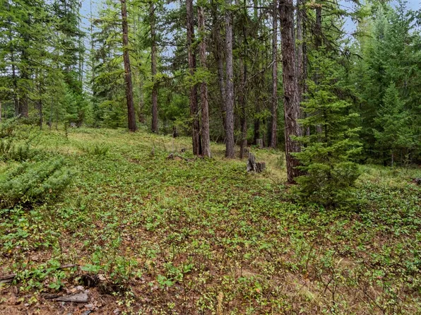 Nhn Bear Trap Rd, Rexford, MT 59930