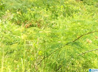 Mallard Point #3, Warrior, AL 35180