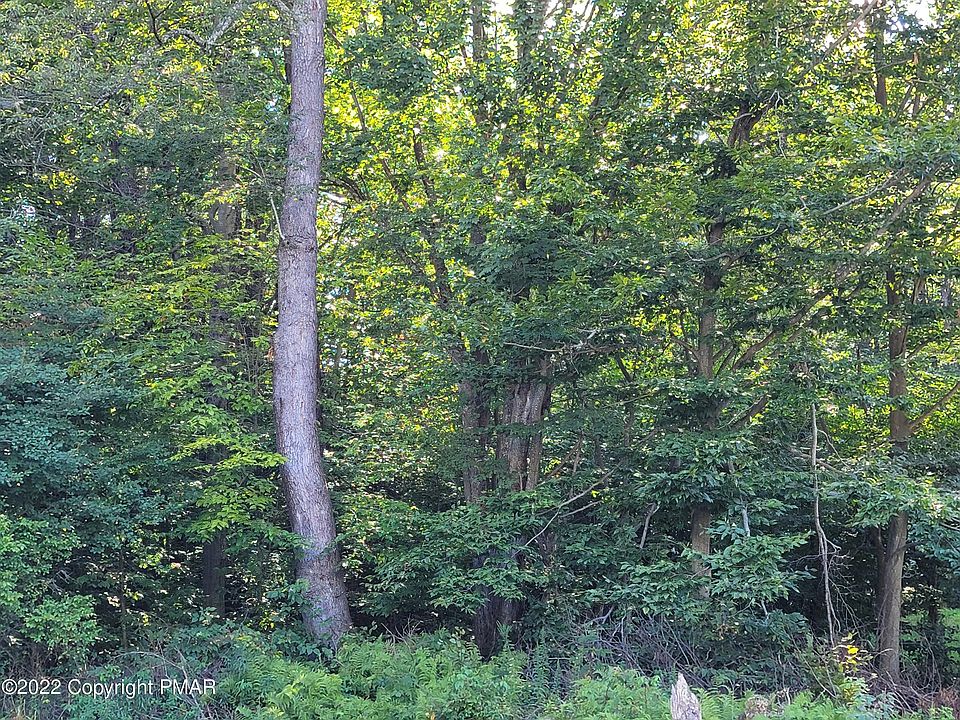1st image of Horn Owl Ln