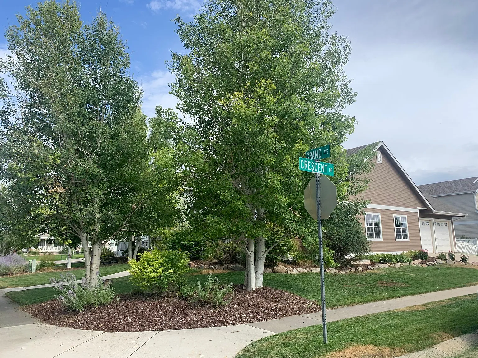3 bed, 1511 sqft, $2,450 — Photo 2