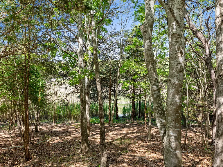 11 Pine Grove Ct — Photo 47