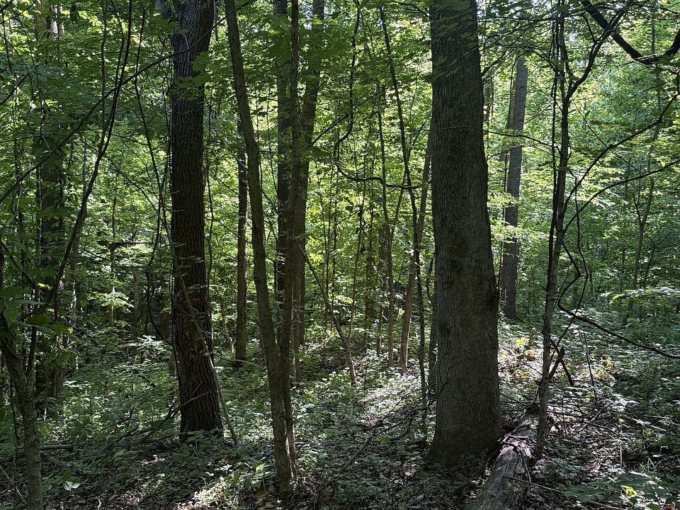 1st image of 0 Crigger Rd