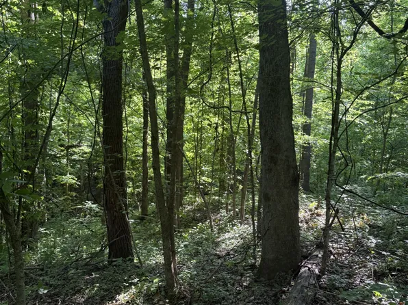 0 Crigger Rd, Millington, TN 38053