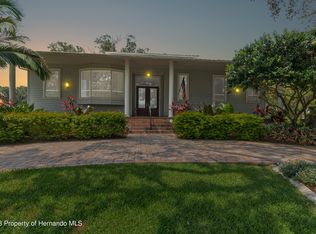 253 Eastpoint Ct, Spring Hill, FL 34606