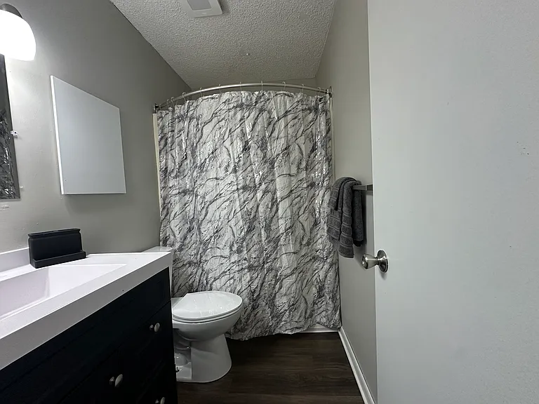 807 Second full bath all updated with plank floor, sink / vanity, mirror, lighting, and toilet located off the second entry.