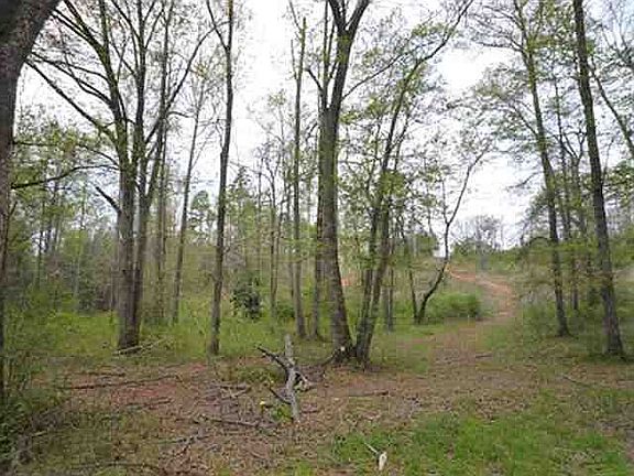 2nd image of 288 Lauren Hope Ln