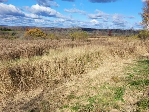 239 Vargo Rd Lot B, Horseheads, NY 14845