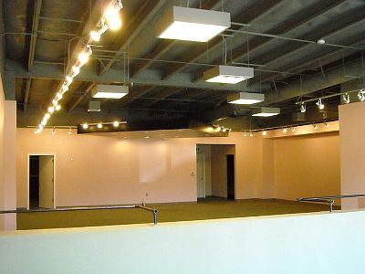 Custom track lighting