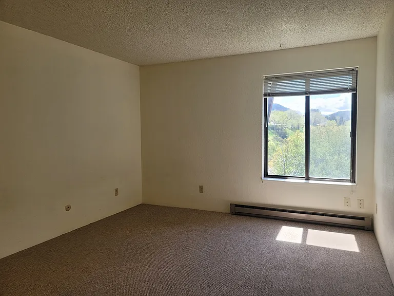 Listen to the sounds of the Roaring Fork River from this bedroom