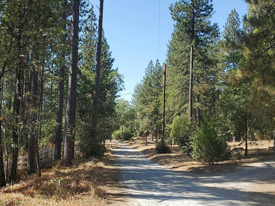 2nd image of 79 Rhoda Niderost Ln
