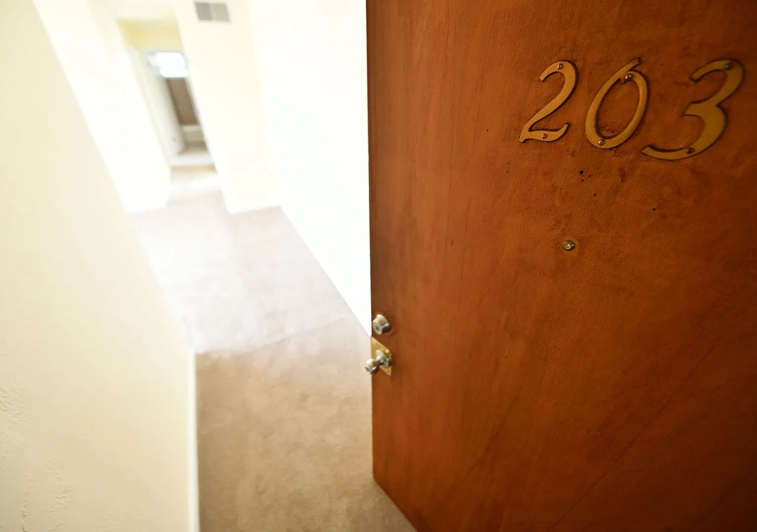 433 Perkins St. — Photo 2