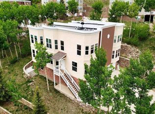 786 Jake Dr, Central City, CO 80427