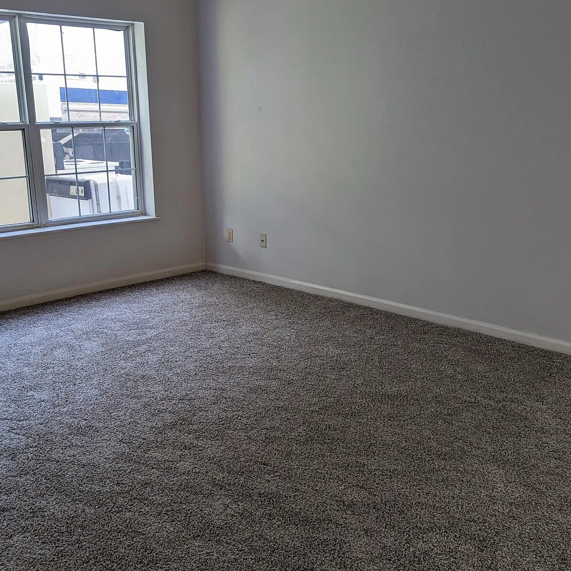 2 bed, 800 sqft, $1,250 — Photo 2