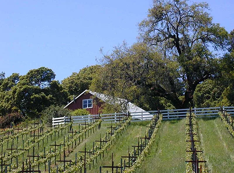 33151 Highway 128