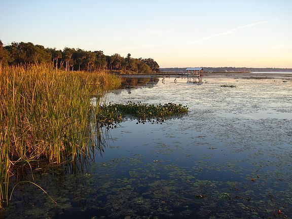 S. Drayton Island shore line