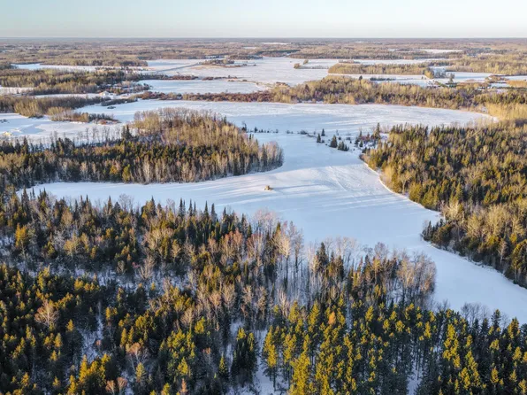 24193 Nebish Rd NE, Blackduck, MN 56630