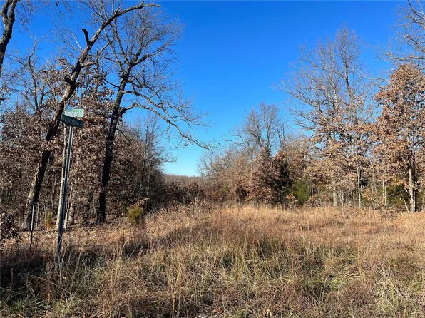 1234 Timber Cir, Tunas, MO 65764