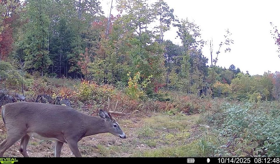 1st image of Asa Hutchinson Rd Lot Wp001