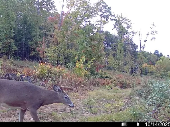 Asa Hutchinson Rd Lot Wp001, Kents Hill, ME 04349