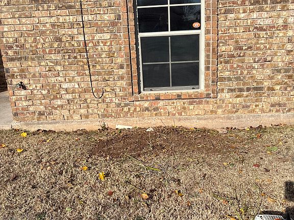 bush removed