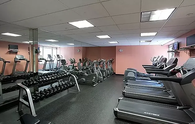 Rented by REAL New York | media 8