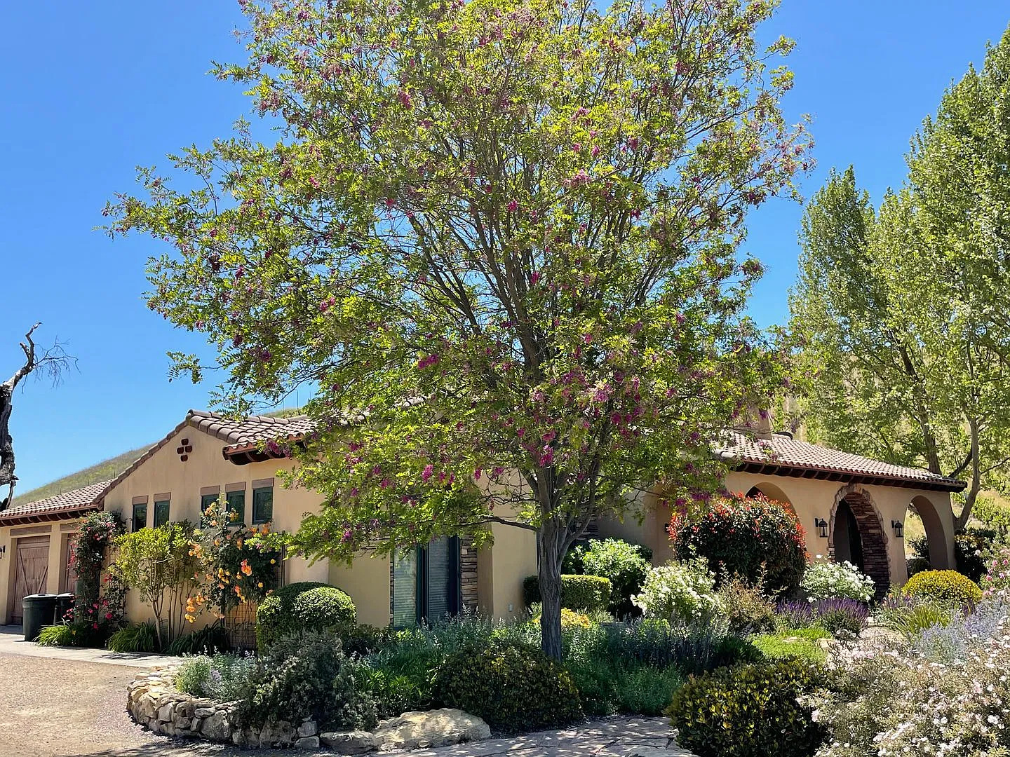 Gorgeous Wine Country 3 Bedroom 2 Bath Single Family Home Available December 2026 — Photo 2