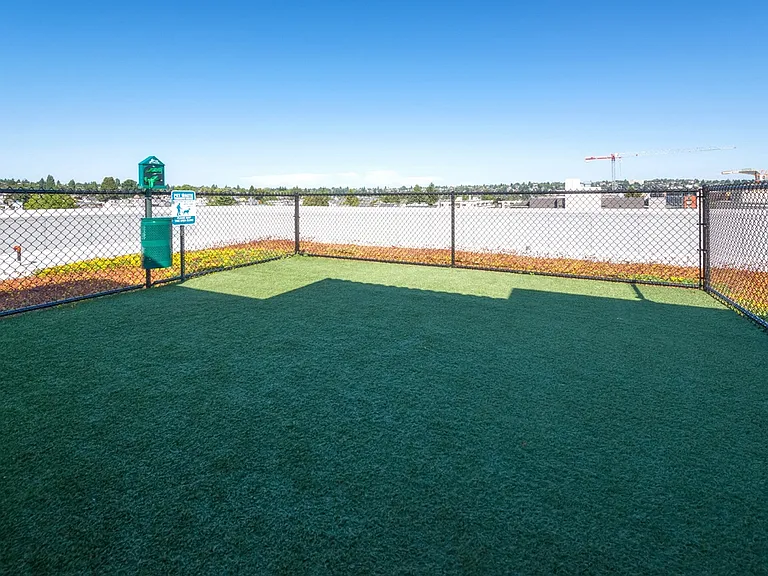 The Wilcox — Photo 12