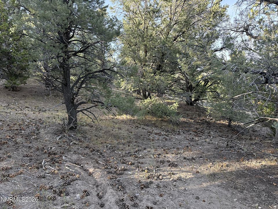 2nd image of 21695 Dortort Dr