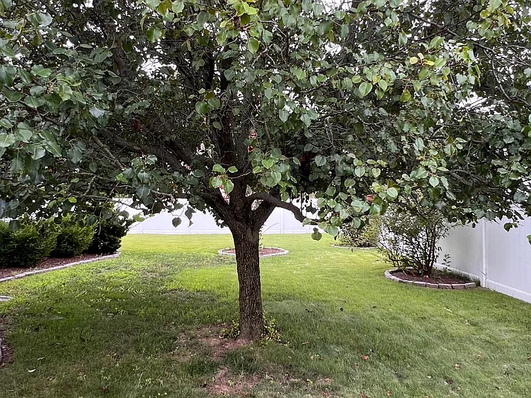 8 Rose Ter — Photo 42