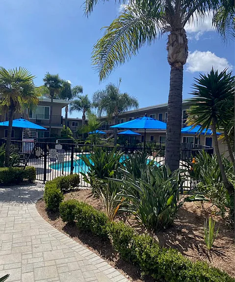 Palm Court — Photo 14