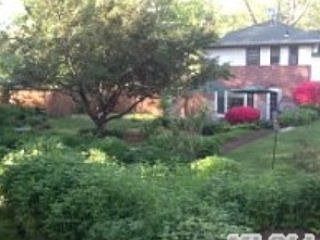 4th image of 28 Viola Dr